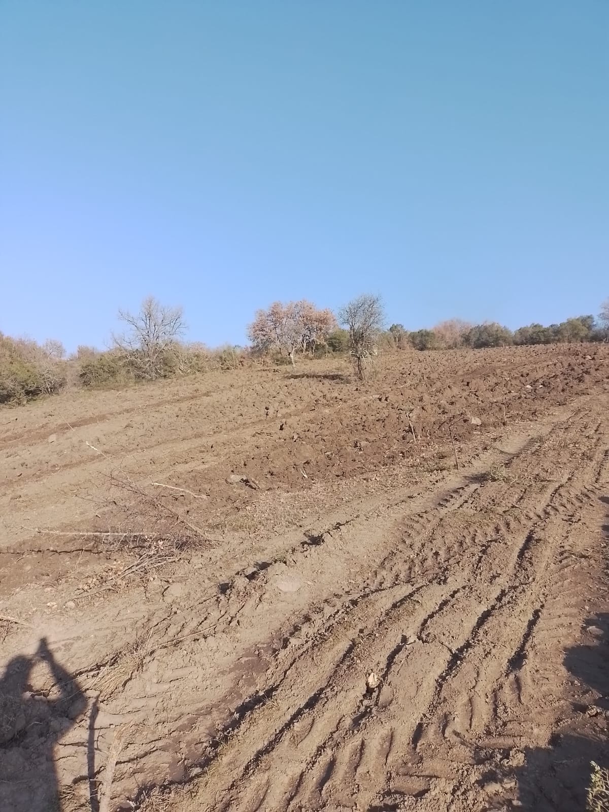 Se & As Gayrimenkul & Mimarlık Balıkesir Bandırma - Güvenilir Emlak Ofisi, Satılık ve Kiralık Daireler, Sahibinden ve Hepsiemlak İlanları, Profesyonel Mimarlık ve İnşaat Hizmetleri